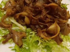 鲜藤椒捞汁螺片-江南大酒店(上肖墙店)