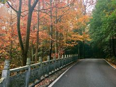 -南岳衡山风景名胜区