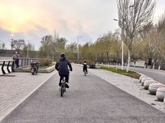 -丁香湖公园