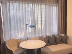 -新加坡乌节希尔顿酒店 (SG Clean)