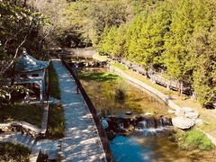 -白水寺森林公园