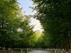 -长白岛森林公园