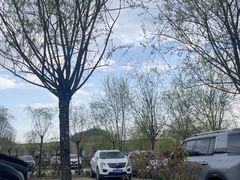 -塔云山