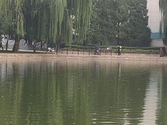 -团结湖公园