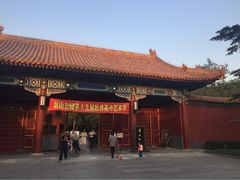 iphone_upload_pic-景山公园