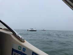 游乐设施-日照灯塔风景区