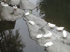 -北京水岸山吧度假村(雁栖镇店)