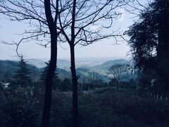 -凤栖山
