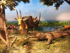 -国家自然博物馆