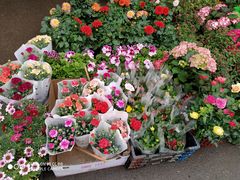 -恒达综合农贸市场(黄山路店)