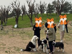 -小意思咖啡店(草桥店)