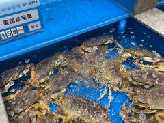 -帝皇海海鲜豆捞(桐泾商务广场店)