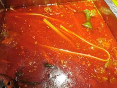 -二荆条·蜀鲜汇城市森林火锅
