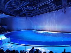 -上海海昌海洋公园