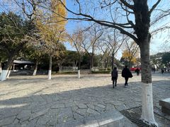 -云龙山