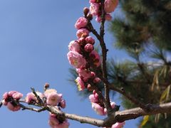 -渤公岛生态公园