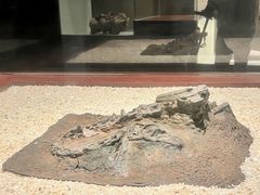 -世界恐龙谷景区