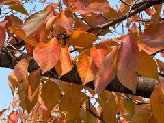 -苏州市公园路幼儿园