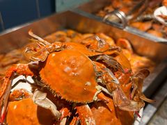 -禾斗海鲜自助(市南银座店)