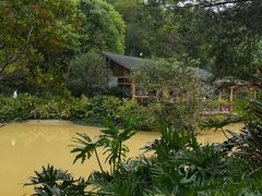 -云溪植物园