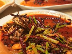 -杨氏青龙虾·羊蝎子(珠江路店)