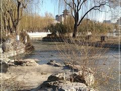 -莲花池公园