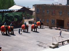 -大连森林动物园