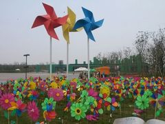 浐霸湿地公园-西安浐灞国家湿地公园