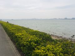 -海鸥岛