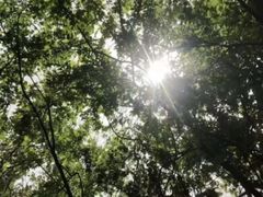 -深圳野生动物园