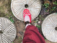 -西双版纳基诺山寨