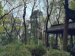 -上海佘山国家森林公园天马山园