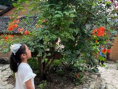 -杨家堂村