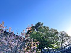-何园