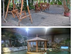 -陆地游轮吉林神农温泉