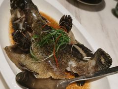 -陶陶居酒家(环市东店)
