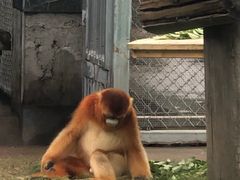 -西安秦岭野生动物园