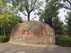 -大槐树寻根祭祖园