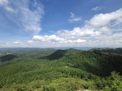 -武陵山森林公园