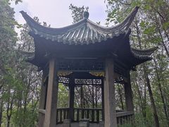 -云龙山