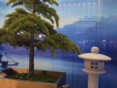 -马家斑.鲜鱼火锅(松湖万科店)