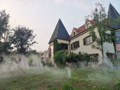 -大塘金香草谷