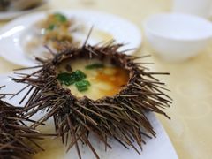 海胆蒸蛋-海岛渔村大酒店(云霄路店)