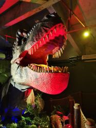 -恐龙探索乐园(磁器口店)