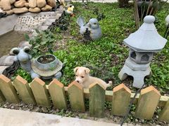 -美家乐农庄·露营·团建(大治路店)