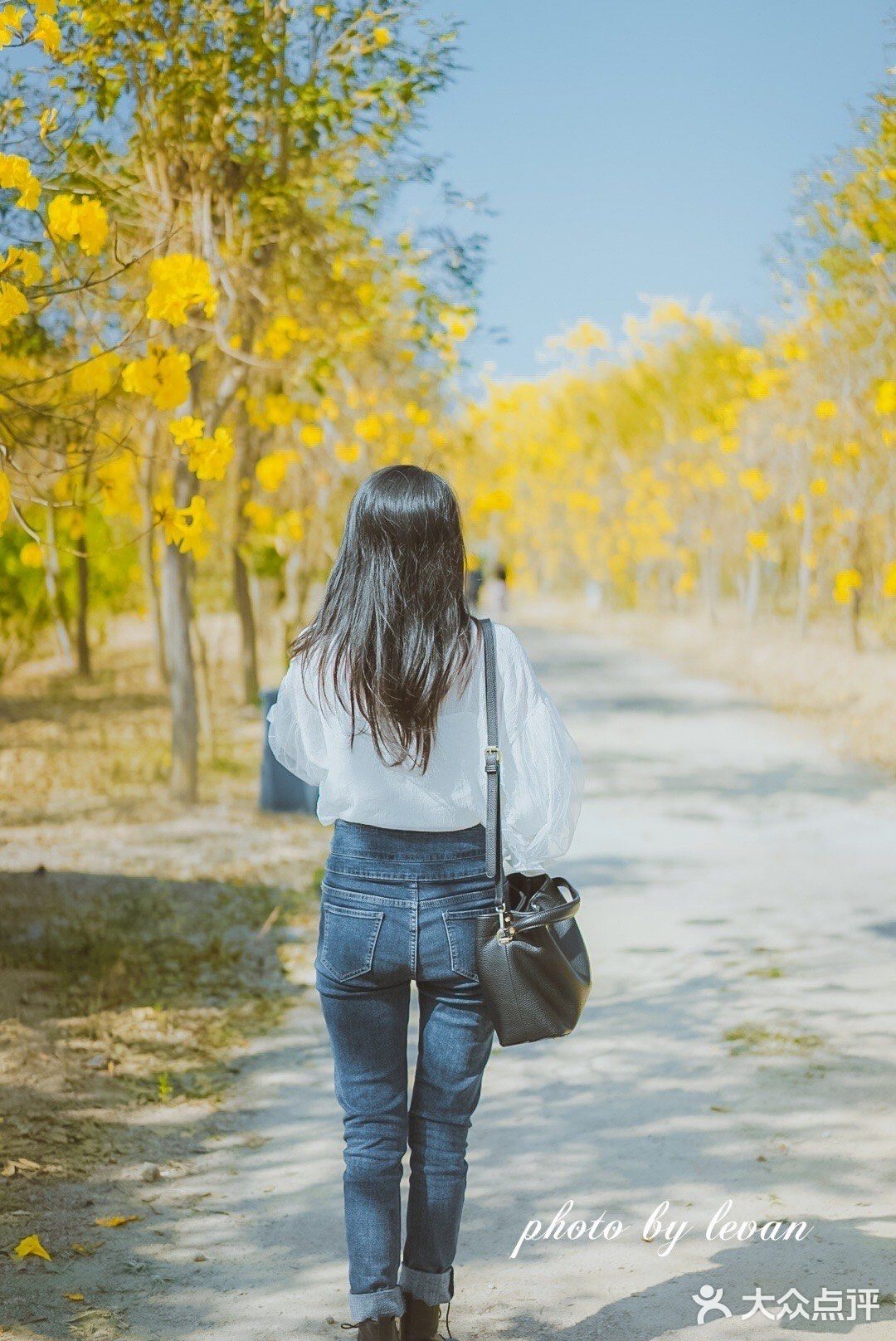 惠州周边游｜春节快乐的好去处[调皮]