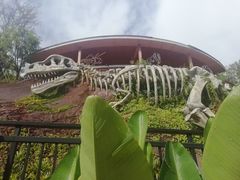 -世界恐龙谷景区