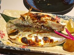 -达摩君日本料理(泰海花园小区店)