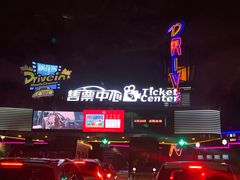 -枫花园汽车电影院(朝阳公园店)