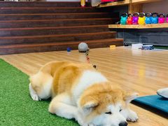-YCHL Studios健身工作室(市二宫店)